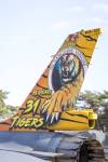 Tiger-tail-Kenny--3_original_copy_1