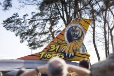 Tiger-tail-Kenny--4_original_copy_1