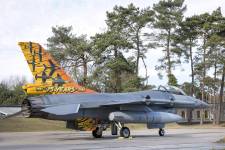 tiger-tail-111_original